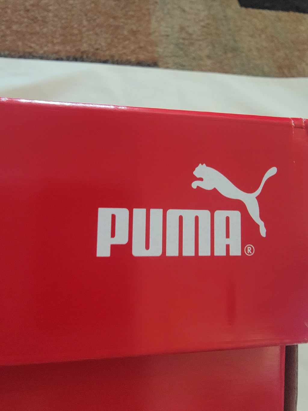 Puma  shoes  gray and blue